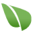 custom_website